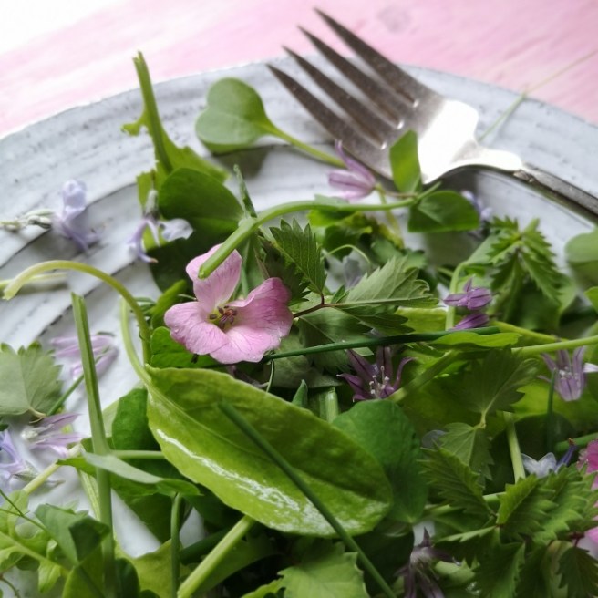 Close-up_on_plate_of_salad_herbs_leaves_and_flowers