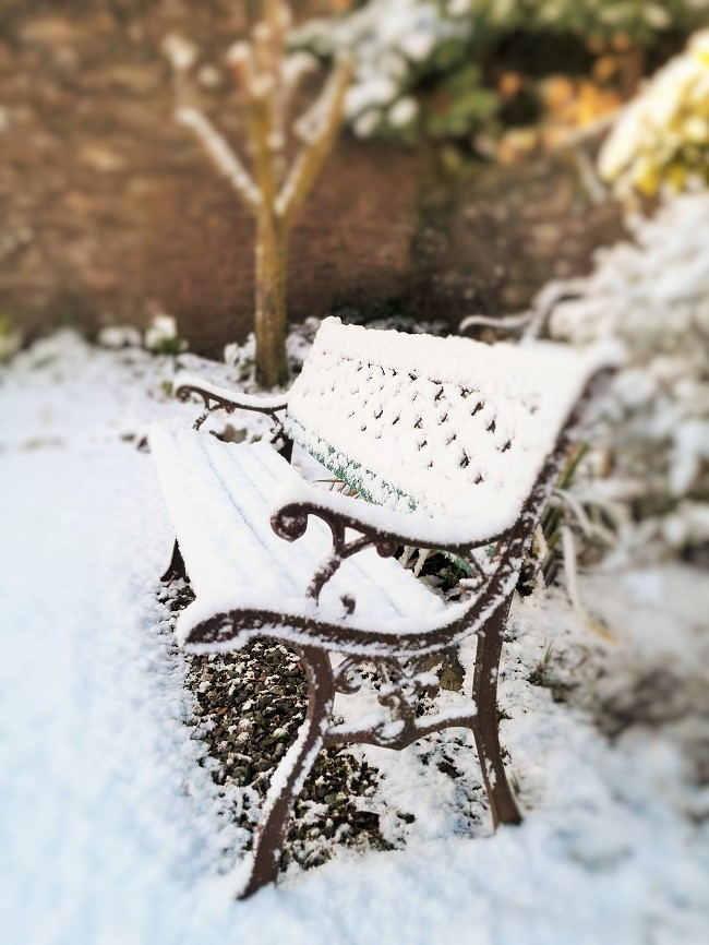 Garden_seat_covered_in_snow