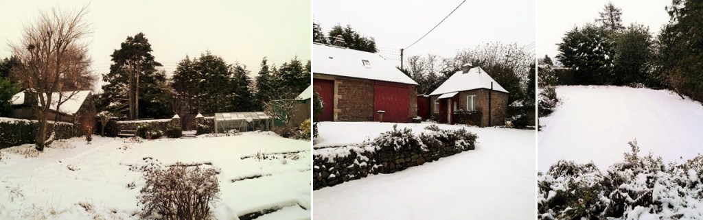 Scenes_of_a_snowy_Scottish_garden_in_January_2021