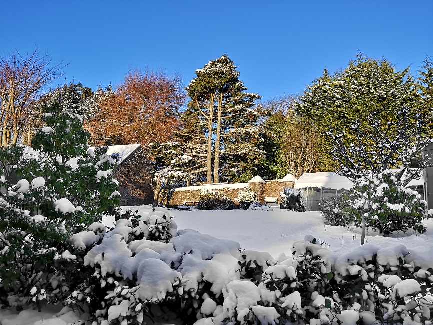Snowy_Scottish_back_garden_in_mid-February