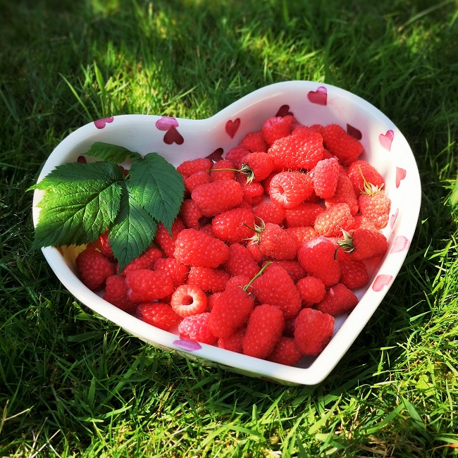 Heart-shaped_bowl_of_freshly_picked_raspberries