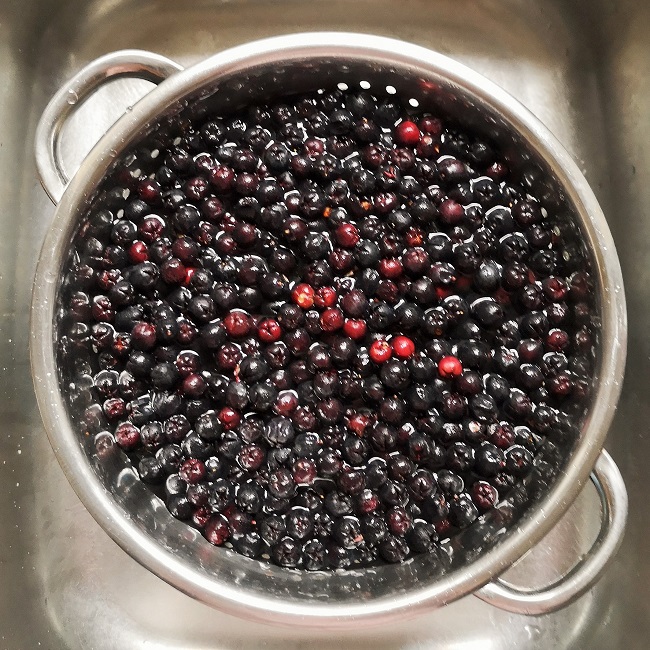 How_to_wash_Salal_berries