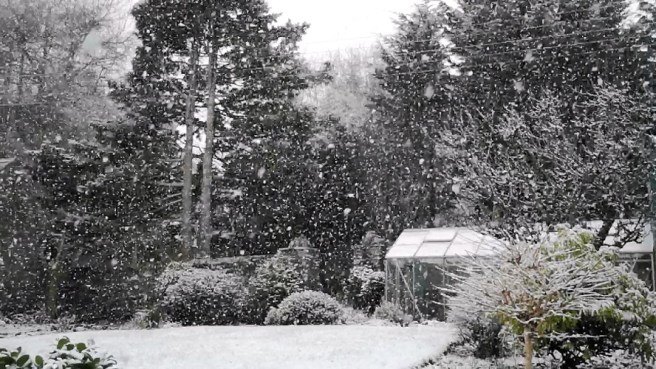 Snowy_Scottish_garden_landscape_in_February_2022