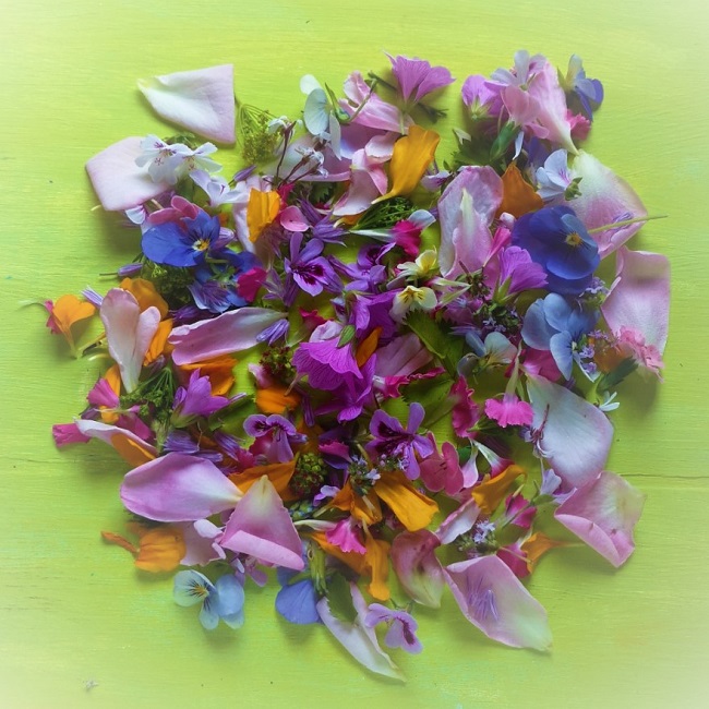 Collection_of_edible_garden_flowers