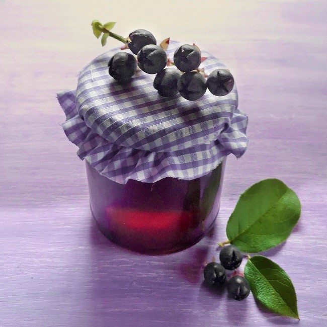 Single_jar_of_homemade_apple_and_salal_berry_preserve