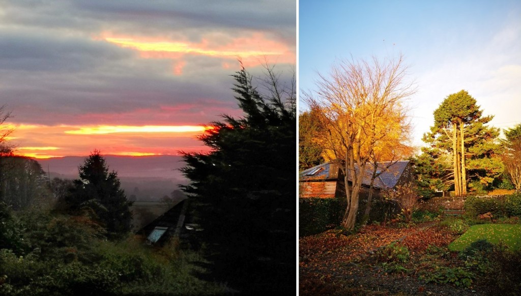 November_2022_sunrise_over_a_Scottish_garden