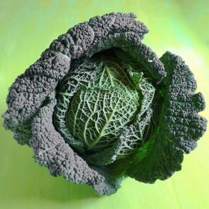 Still-life_of_Savoy_cabbage_on_green_backgroun