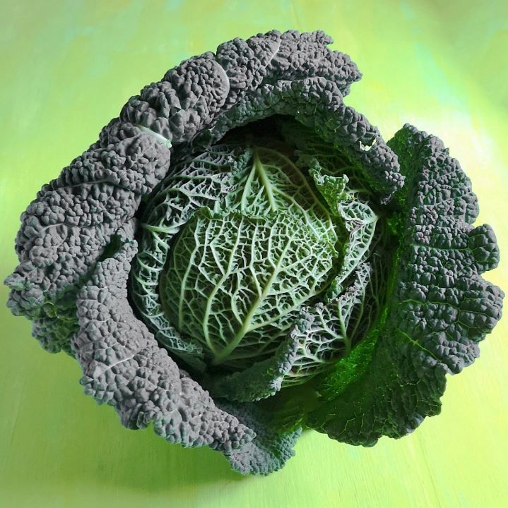 Still-life_of_Savoy_cabbage_on_green_backgroun