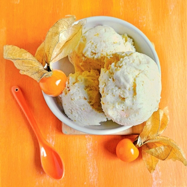 3_ingredient_vegan_dairy-free_gluten-free_ice_cream_overhead