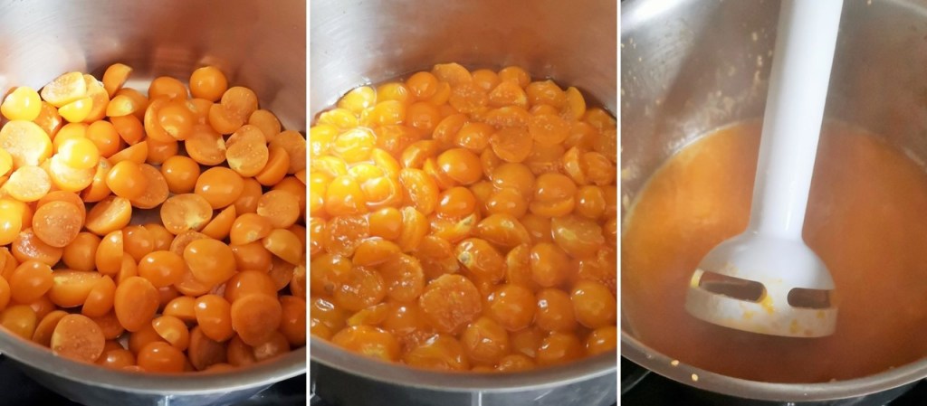 Cooking_physalis_fruit