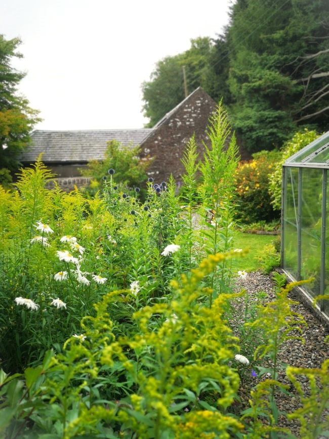 End_of_July_2023_Scottish_garden