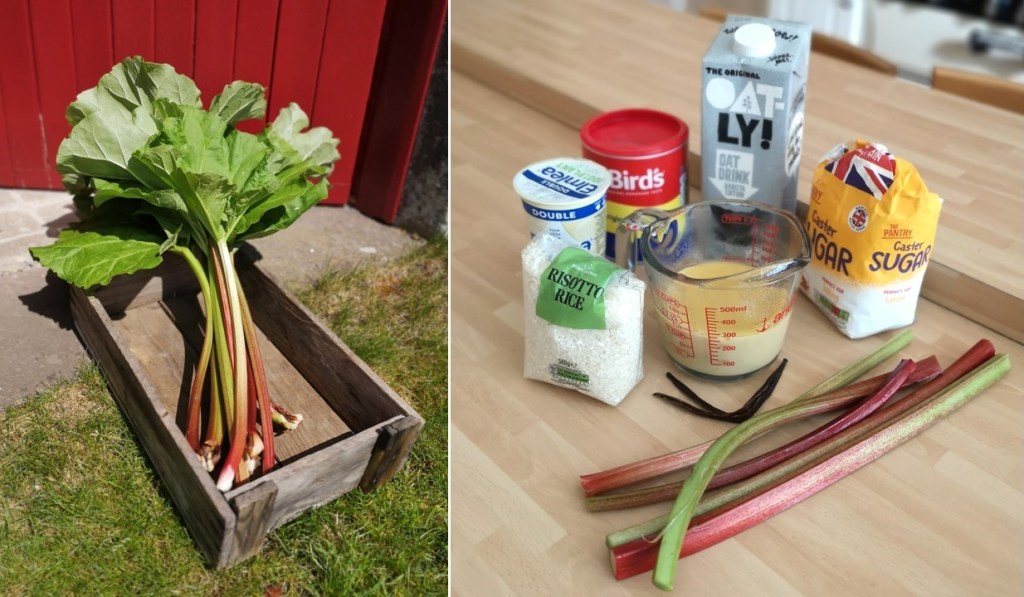 Ingredients_for_making_gluten-free_dairy-free_vegan_rhubarb_and_custard_risotto