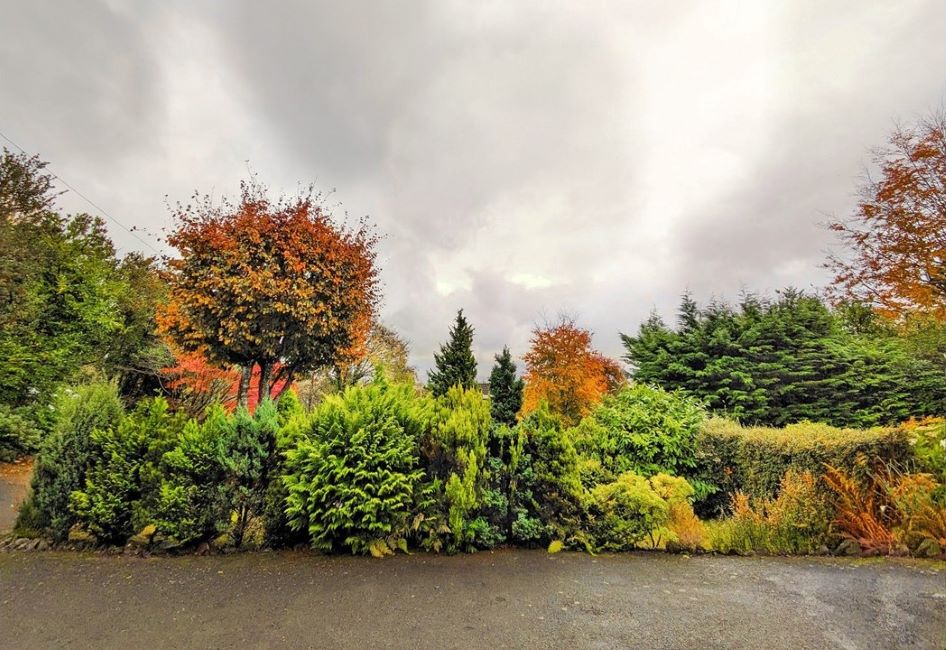 Autumn_shades_on_a_grey_day