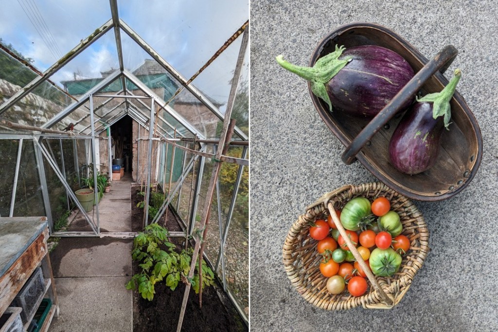 Putting_the_greenhouse_to_bed_end_of_October_2023