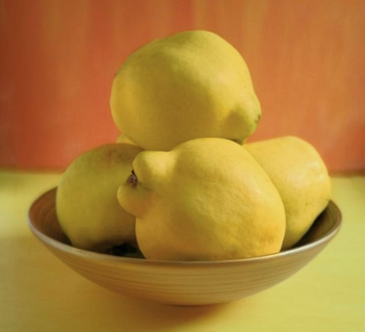 Fresh_quince_in_a_gold_bowl