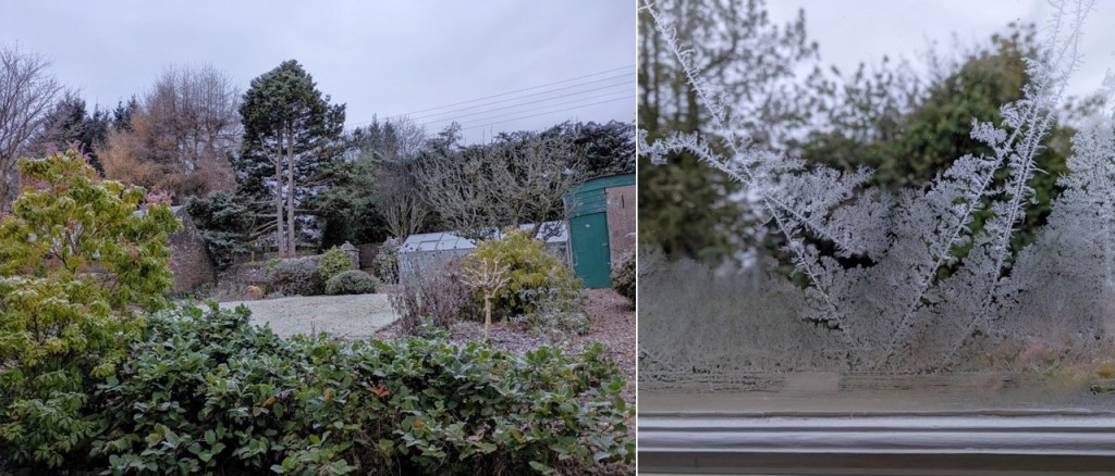 December_frost_and_ice