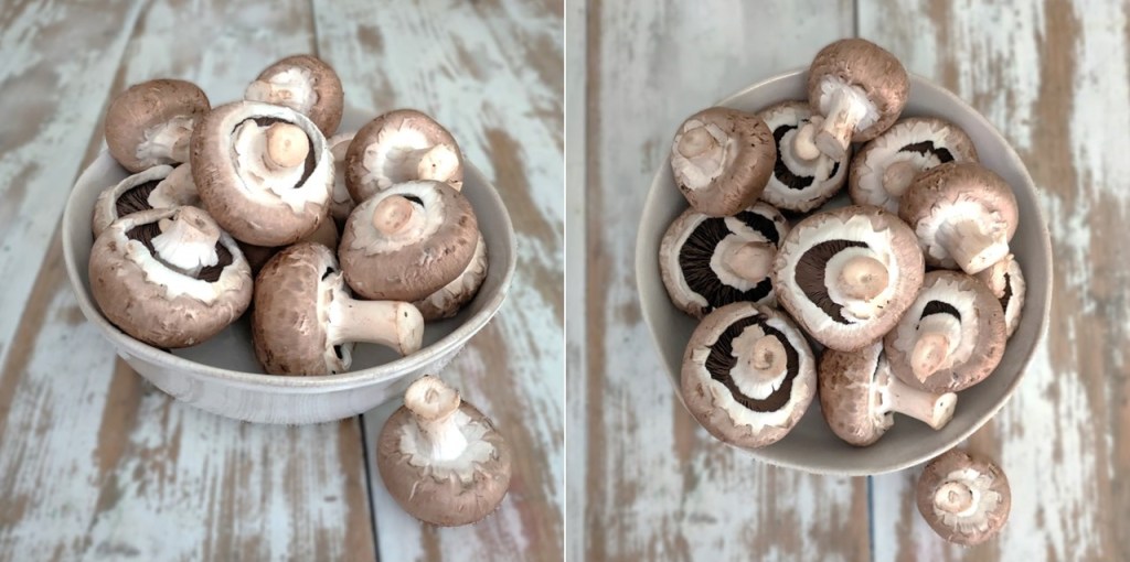 Chestnut_mushrooms