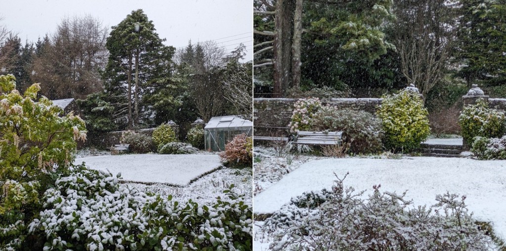 Scottish_Snowy_garden_early_April_2024