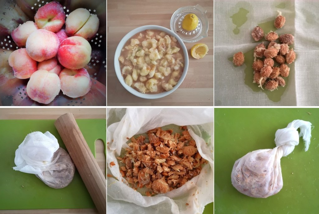 Preparing_peaches_for_jam-making