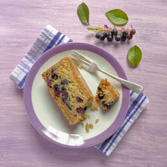 Homemade_Salal_berry_and_lemon_loaf_cake