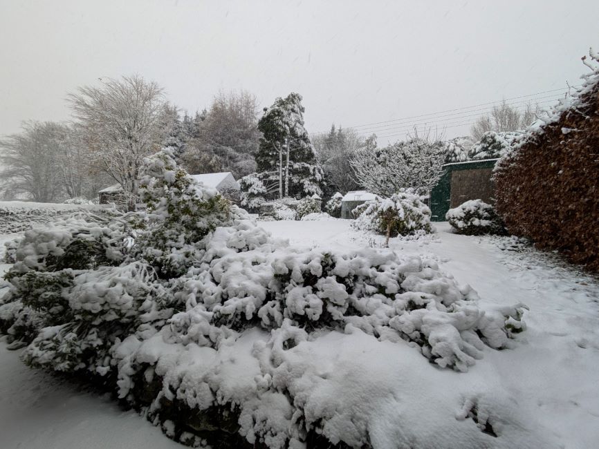November_2024_Scottish_garden_covered_in_snow