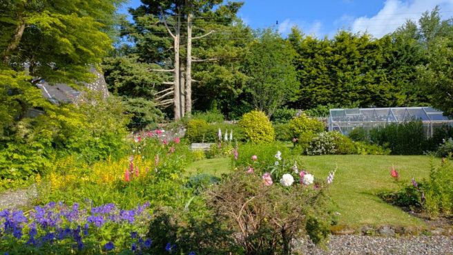 A_sunny_June_day_in_a_Scottish_garden