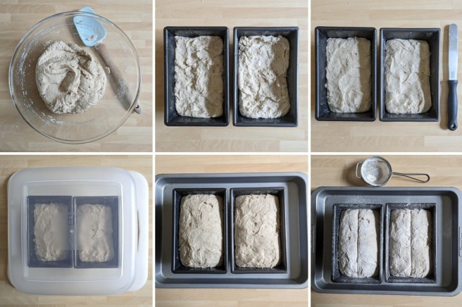 Making_and_proving_gluten-free_dairy-free_vegan_buckwheat_bread
