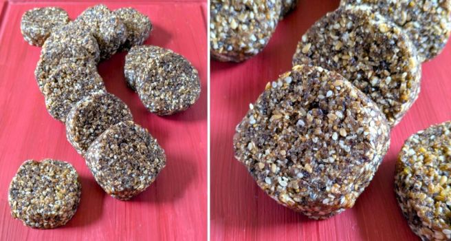 Slices_of_homemade_gluten-free_dairy-free_vegan_calcium-rich_fig_roll